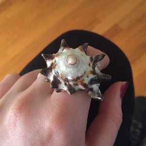 Real shell ring